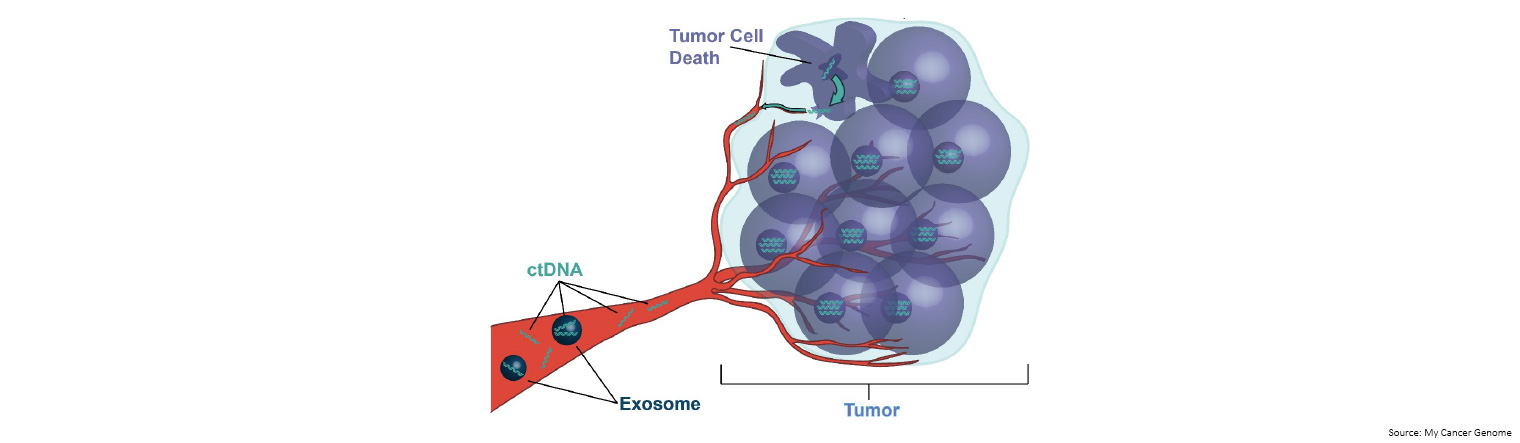 Circulating tumour DNA 1
