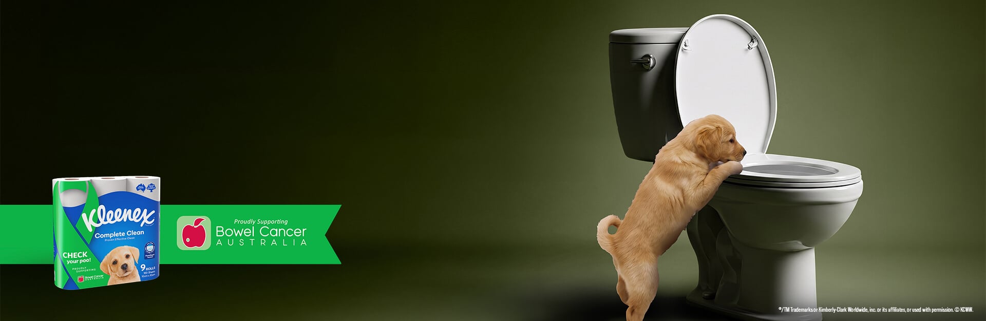 A puppy leans over a toilet bowl next to a Kleenex package promoting bowel cancer awareness.