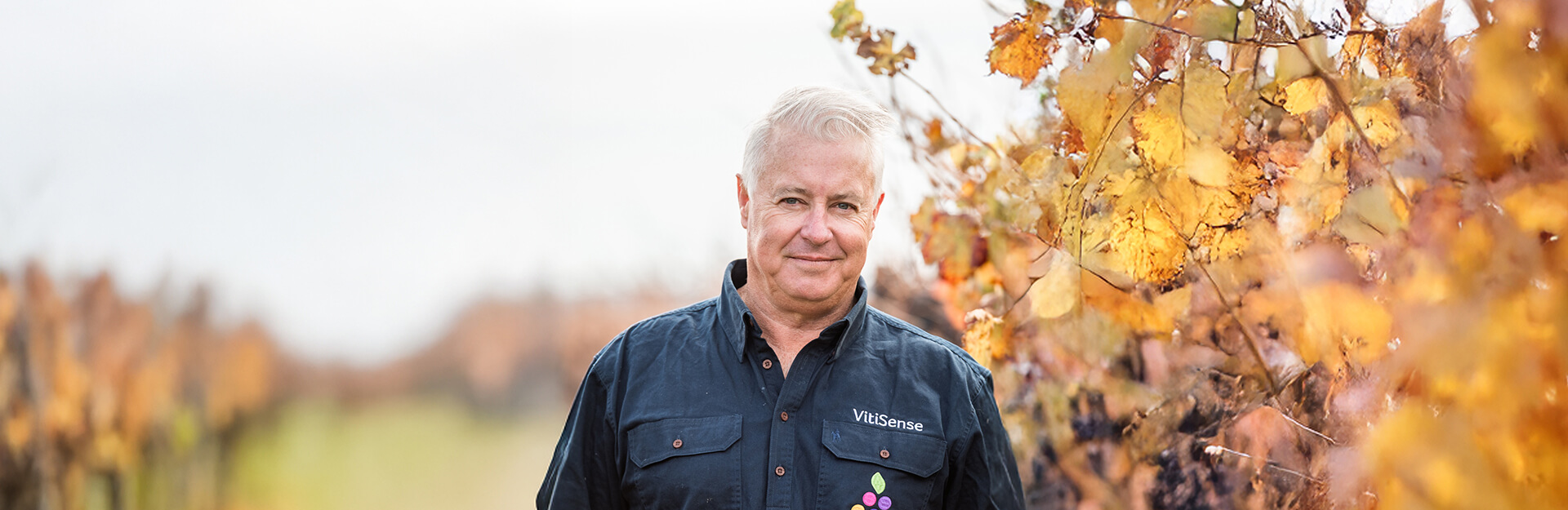 A man stands in a vineyard surrounded by autumn-colored grapevines.