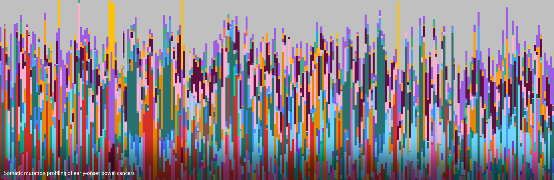 Colorful vertical bars on a gray background, representing somatic mutation profiling of early-onset bowel cancers.