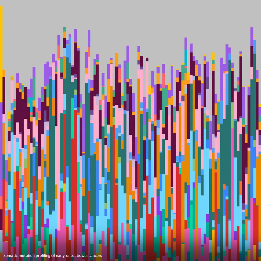 Colorful vertical bars on a gray background, representing somatic mutation profiling of early-onset bowel cancers.