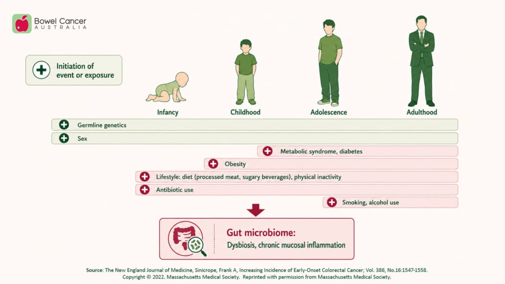 Infographic showing factors influencing bowel cancer risk from infancy to adulthood, highlighting genetics, lifestyle, and gut microbiome.