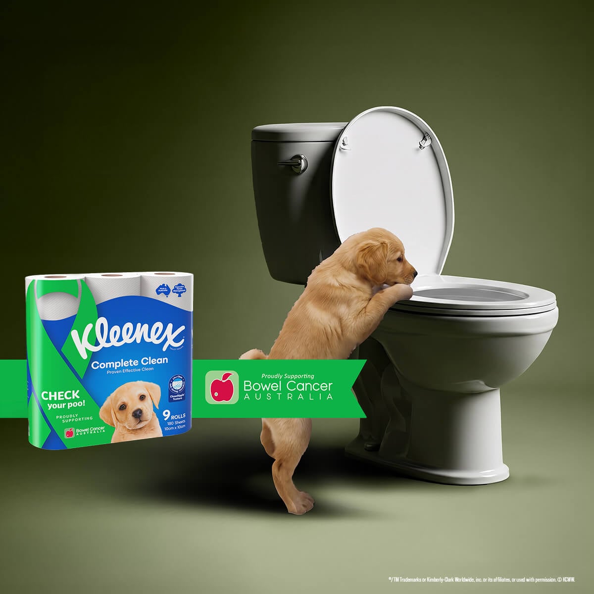 A puppy leans over a toilet next to a Kleenex box promoting bowel cancer awareness.