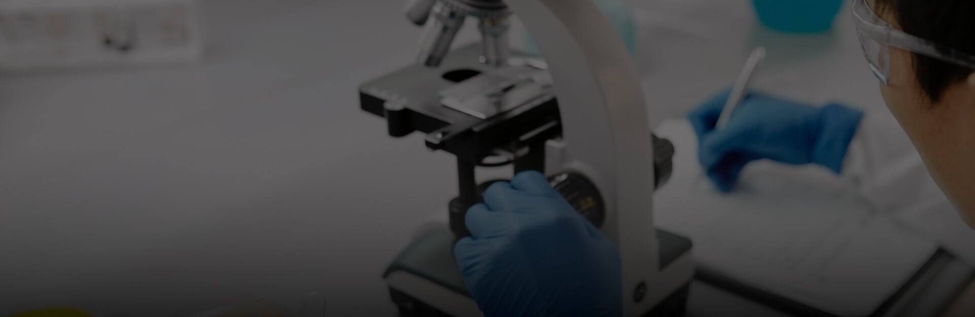 A researcher in blue gloves examines a microscope slide, part of early-onset bowel cancer centre of research excellence work.